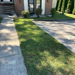 grass cutting by Crystal Hathaway reviewed on October 2, 2024