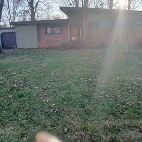 Leaf Removal by Dietrich’s Property Maintenance reviewed on November 21, 2025