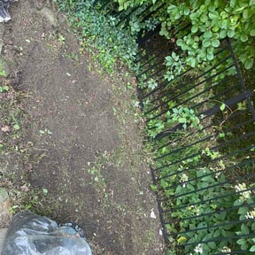 Flower Bed Weeding by Chandrashomecleaning&amp;lawncare reviewed on July 14, 2026