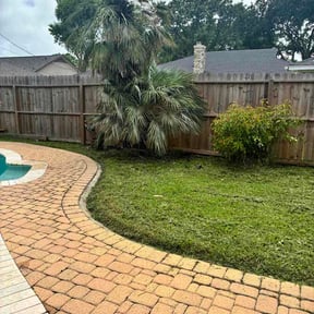 Bush Trimming by 3DS Lawncare Service reviewed on June 17, 2026