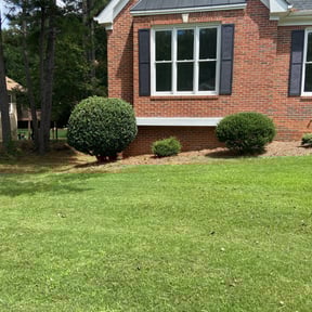 Bush Trimming by Azamar landscaping & construction reviewed on August 17, 2025