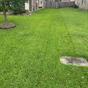 landscaping services by Duane  & Sons lawn care reviewed on August 20, 2025
