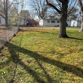 Leaf Removal by The Hoarder Brothers Of New England reviewed on October 21, 2025