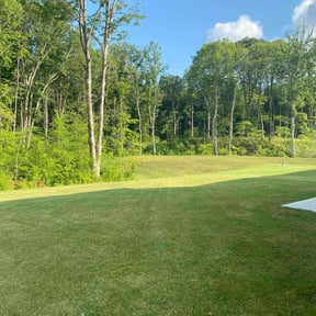 lawn care by BetterView Landscaping &amp; Home Maintenance reviewed on April 26, 2025