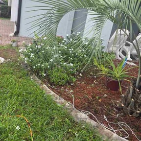 Flower Bed Weeding by Paradise Eden reviewed on June 11, 2024