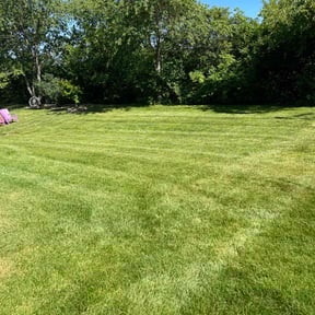 landscaping by Under the Sun Property Services reviewed on August 9, 2025