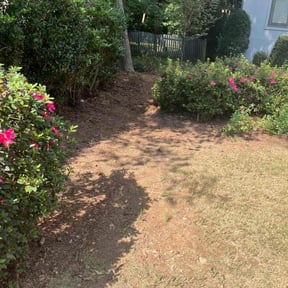 Leaf Removal by S&amp;T reviewed on September 20, 2025