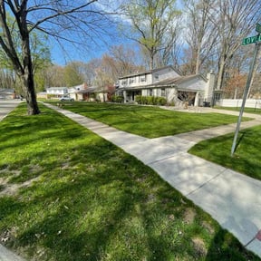 residential landscaping by CuChee Rich LLC reviewed on August 16, 2025