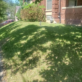 Leaf Removal by Trophy Homes Property Care LLC reviewed on September 6, 2025