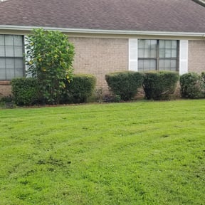 Bush Trimming by RTH Lawn Service & Landscaping LLC reviewed on August 17, 2025