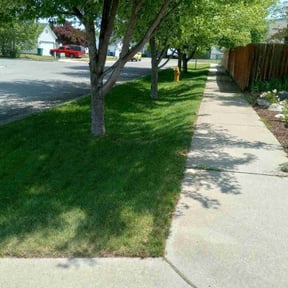 lawn care services by JP Landscape  reviewed on August 21, 2025