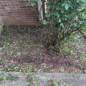 Flower Bed Weeding by USA Lawncare reviewed on July 19, 2026