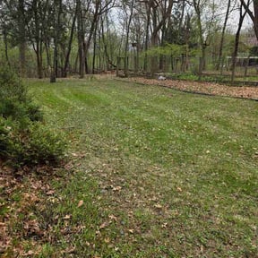 Leaf Removal by Loadngologistics2021@gmail.com reviewed on May 21, 2026