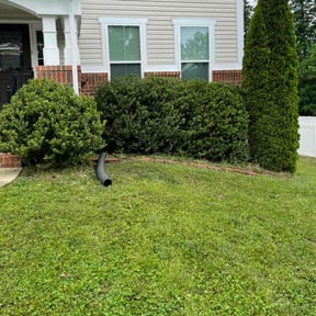 Bush Trimming by AllAround Services llc reviewed on August 19, 2025