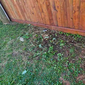 Bush Trimming by GAMA Lawn Care Services reviewed on December 8, 2025