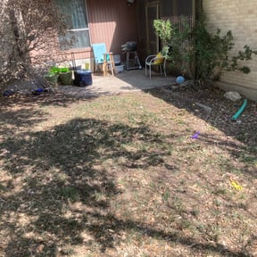 Leaf Removal by Simio's reviewed on September 25, 2025