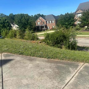 Bush Trimming by Duane & Sons lawn care reviewed on August 21, 2025