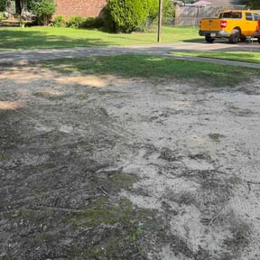 Leaf Removal by TAKE OVER LANDSCAPING&amp;SNOW reviewed on August 17, 2026