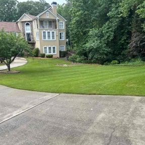 yard maintenance by Gadsden lawncare reviewed on August 17, 2025