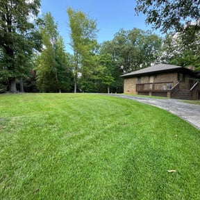 yard service by Bolinlawncare reviewed on August 20, 2025
