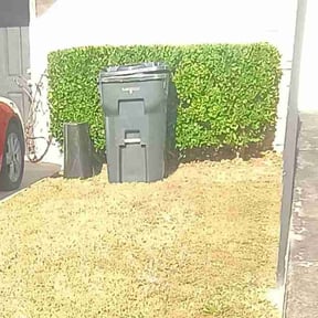 Bush Trimming by Dreng Services reviewed on November 21, 2025