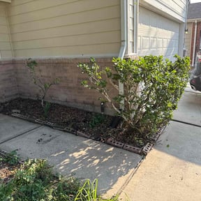 Bush Trimming by JNGLandscaping LLC reviewed on October 23, 2025