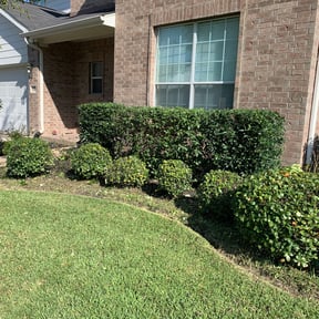 Bush Trimming by Auggie’s Lawn Care reviewed on August 20, 2025