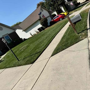 yard work by Mr. Mower reviewed on December 3, 2025