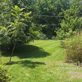 landscape maintenance by Brothers Martinez reviewed on August 19, 2025