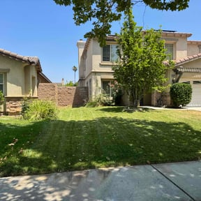 yard work by Salvador Lawn and Tree Service reviewed on August 19, 2025