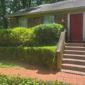 Bush Trimming by Rios landscaping reviewed on August 14, 2025