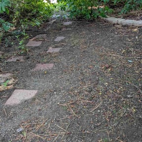 Leaf Removal by Shortys handyman lawn and snow removal reviewed on October 2, 2025