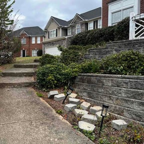 Bush Trimming by Precision Lawncare reviewed on March 29, 2026