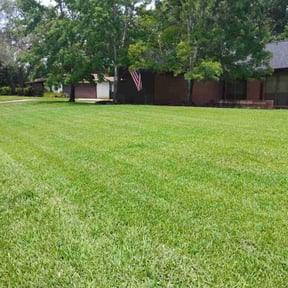 lawn care services by Fordson Lawn Care reviewed on August 17, 2025