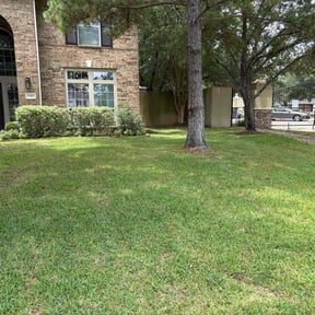 landscape maintenance by BiG Lawn Service reviewed on August 18, 2025