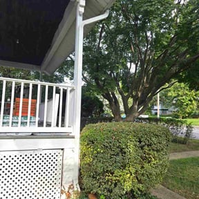 Bush Trimming by Mow down lawn care reviewed on October 21, 2025