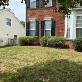 Bush Trimming by Green landscaping LLc reviewed on August 15, 2025