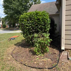 Flower Bed Weeding by Ben's Lawncare reviewed on May 22, 2026