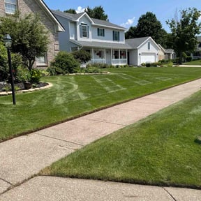 yard maintenance by All Mowing Services reviewed on October 21, 2025