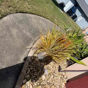 Flower Bed Weeding by LOKI Landscaping, LLC reviewed on August 21, 2025