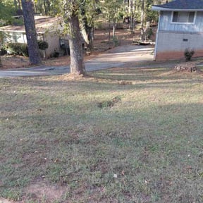 Leaf Removal by Walker Lawn Care reviewed on November 7, 2025