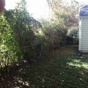 Bush Trimming by Red Machine Landscaping reviewed on August 13, 2025
