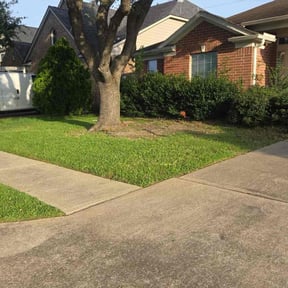 landscape maintenance by Veazey's Yard Care reviewed on August 18, 2025