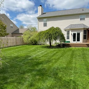 yard service by San Antonio Lawn Mowing reviewed on August 18, 2025