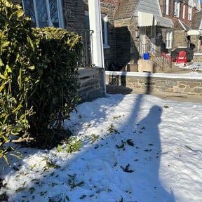 Bush Trimming by Simpson Lawncare reviewed on August 18, 2025