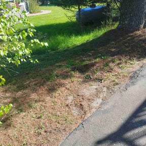 Bush Trimming by Betz Construction LLC reviewed on May 28, 2026