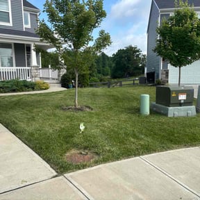 landscaping by Lazer cut LLC reviewed on August 14, 2025
