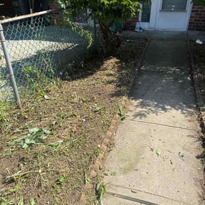 Bush Trimming by Taos landscape llc reviewed on August 14, 2026