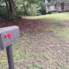 Leaf Removal by Osment Lawn Care reviewed on September 19, 2025