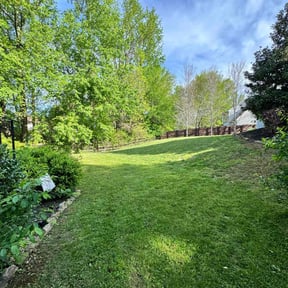 yard care by Quality Lawn Care reviewed on August 15, 2025